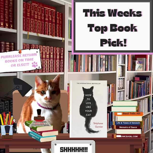 Amber's Book Reviews - What Are We reading This Week ©BionicBasil®