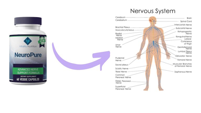 NeuroPure: Neuropathy Capsules, Official Website In USA, Get Trials Now
