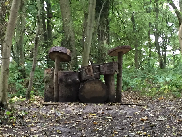 5 Family Walks in Northumberland (tried and tested by a 2 & 5 year old)  - drum kit at plessey woods