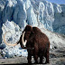 «Ανασταίνουν» τα μαμούθ - Επιστήμονας αποκαλύπτει σχέδιο για τη δημιουργία «αρκτικού ελέφαντα»