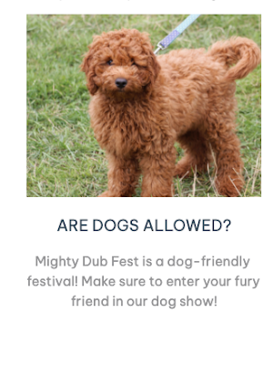 5 Dog Friendly Festivals in North East England  - Mighty Dub Fest Dog Policy