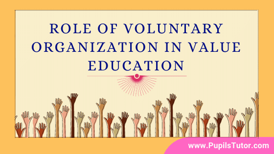 How Voluntary Organization Promote Value Education? - Lets Discuss Key Role Voluntary Organization Play In Fostering Value Education Among Children - pupilstutor.com