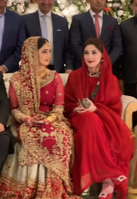 PML-N MPA Sania Ashiq Got Married