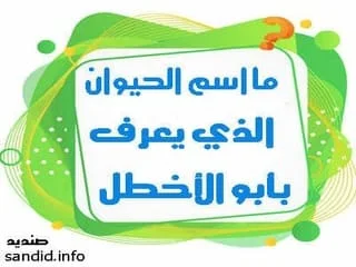 ما الحيوان الذي يُعرف بأبو الأخطل , ما اسم الحيوان الذي يعرف بأبو الأخطل ,ما هو الحيوان الذي يلقب ب أبو الأخطل , ما هو الحيوان الذي يسمى أبو الاخطل , ما اسم الحيوان الذي يعرف بأبو الأخطل , ما هو الحيوان الذي يسمى ابو الاخطل من 5 احرف