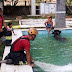 Bombeiros resgatam búfalo após cair em uma piscina em Manaus 