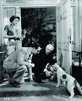  The Thin Man Goes Home 1944 Blu-ray