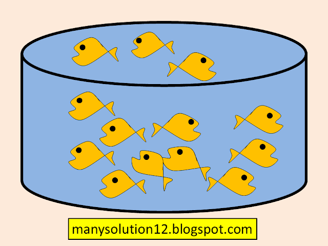 manysolution12.blogspot.com