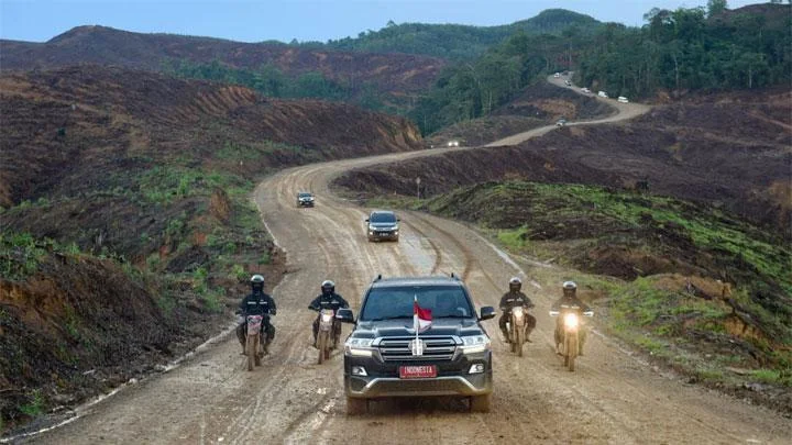 Jokowi Camping di Kawasan Hutan Tanaman IKN, Demokrat: Hat-hati Tertimpa Pohon Roboh!