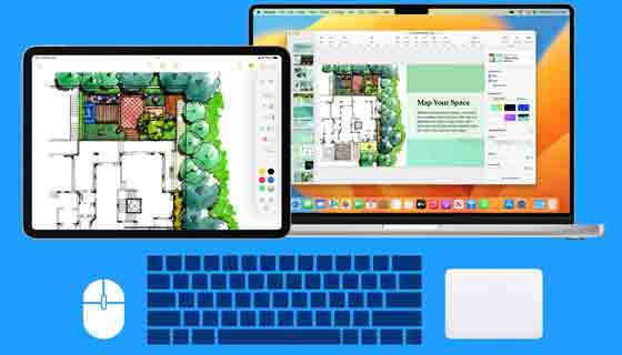 استخدم الماوس ولوحة التتبع ولوحة المفاتيح الفردية على Mac و iPad