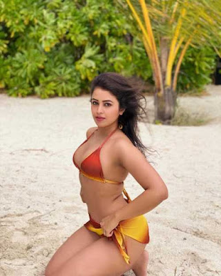 Shobhita Rana Bikini stills