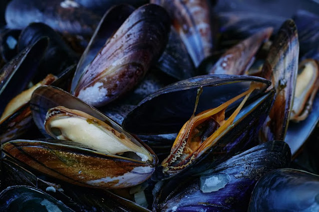 Benefits of mussels: properties, contraindications and recipes