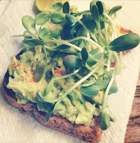 Sunflower Avocado Toast Recipe