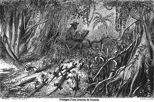 an Édouard Riou 1800s illustration of himself sketching with a crowd of snakes and spiders coming Amazon