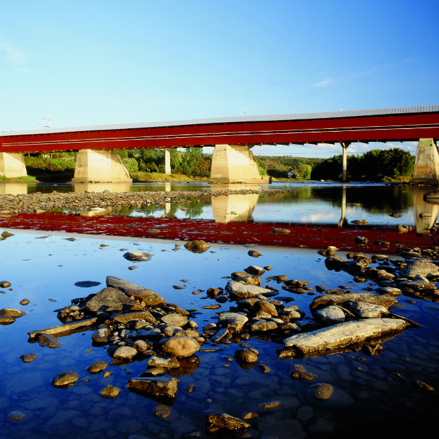 Sentier Jarrets noirs | Pont couvert Perrault