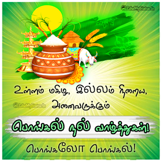 Pongal Wishes Tamil