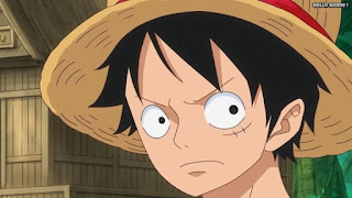 ワンピースアニメ ゾウ編 773話 ルフィ Monkey D. Luffy | ONE PIECE Episode 773