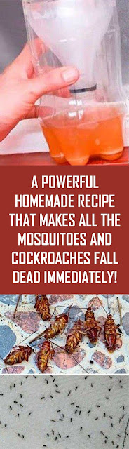 A Powerful Homemade Recipe That Makes All The Mosquitoes and Cockroaches Fall Dead Immediately!