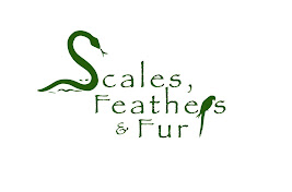 Scales, Feathers and Fur