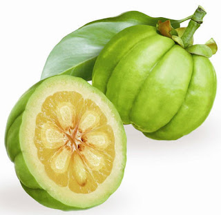 Garcinia Gummi Gatta