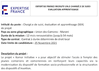 Expertise France recrute un(e) chargé(e) de suivi, évaluation et apprentissage (SEA) de projet
