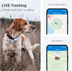 Pet Tracking