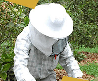 Beekeeping Jackets