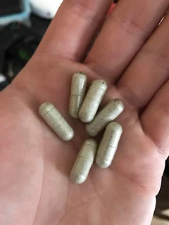 MycoNutra® mushroom capsules.