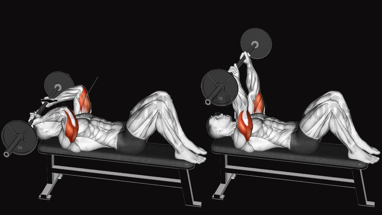 THE SEVEN BEST EXERCISES TO WORK YOU TRICEPS