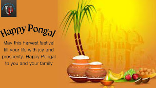 Pongal is celebrated in which state