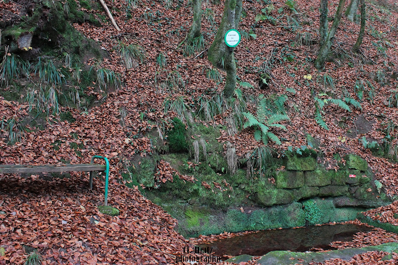 La fontaine du Stengelberg