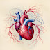 The Difference Between Heart Failure and Heart Attack According to European Medical Experts