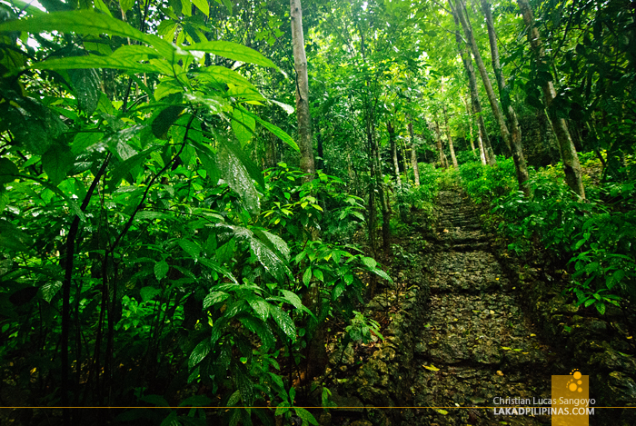 Ascent to Aglipay Cave Mouth in Quirino Province