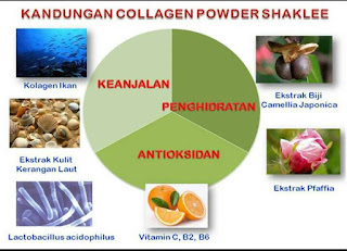 Promosi Januari 2022 Collagen Plus Powder Shaklee Kolagen
