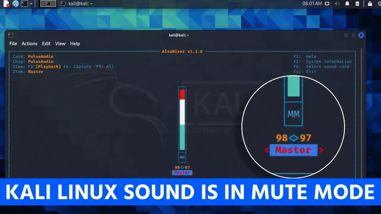 Step by step guide to fix sound-related problems in Kali Linux