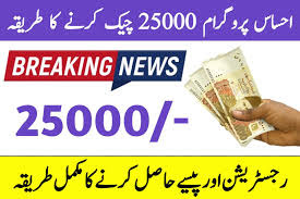 احساس پروگرام 25000 چیک کرنے کا طریقہ