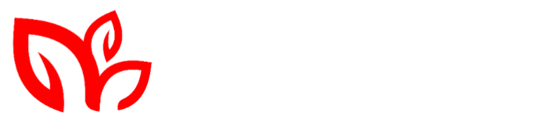Masafif.com