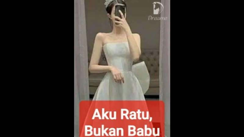 Novel Aku Ratu Bukan Babu