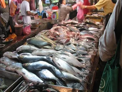 سعرالبلطي في سوق الأسماك اليوم