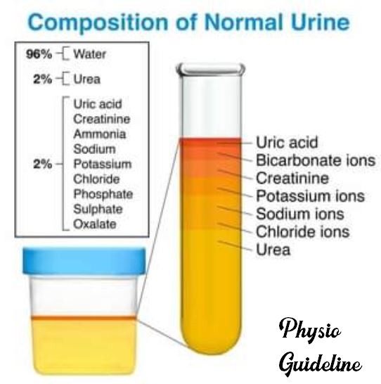 Composition and properties of Urine