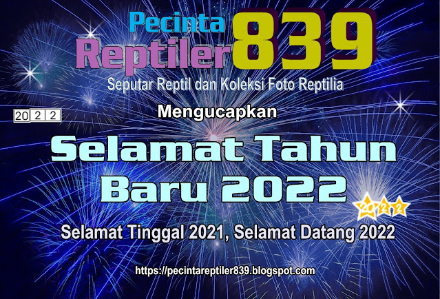 Selamat Tahun Baru 2022 Bersama Pecinta Reptiler 839