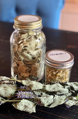 Photo of anise hyssop, jar of dried mullein leaves and a jar of dried chamomile flowers