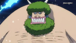 ワンピースアニメ | 百獣海賊団 ナンバーズ | 七鬼 ナンギ NANGI | Beasts Pirates Numbers | ONE PIECE