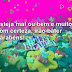 Mensagem de Aniversário 🎁🎈 Bonita Frases textos 🥳🎀 Aniversários