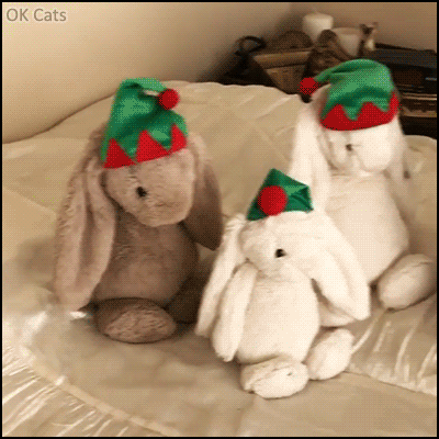 Christmas Cat GIF • When your Elf cat is obsessed with mannequin challenge and wants to win