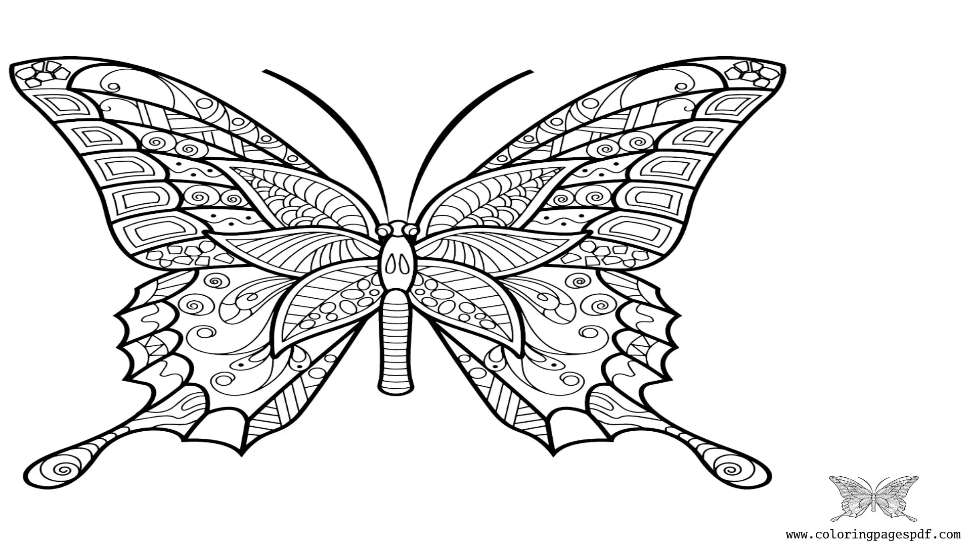Coloring Page Of A Detailed Butterfly Mandala