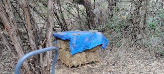 six straw bales under a tarp in the woods