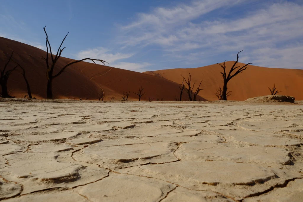 Namib Desert