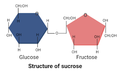 structure of sucrose