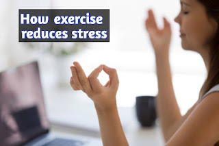 How exercise reduces stress