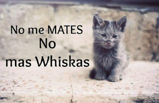 Las Whiskas no son buenas para los gatos